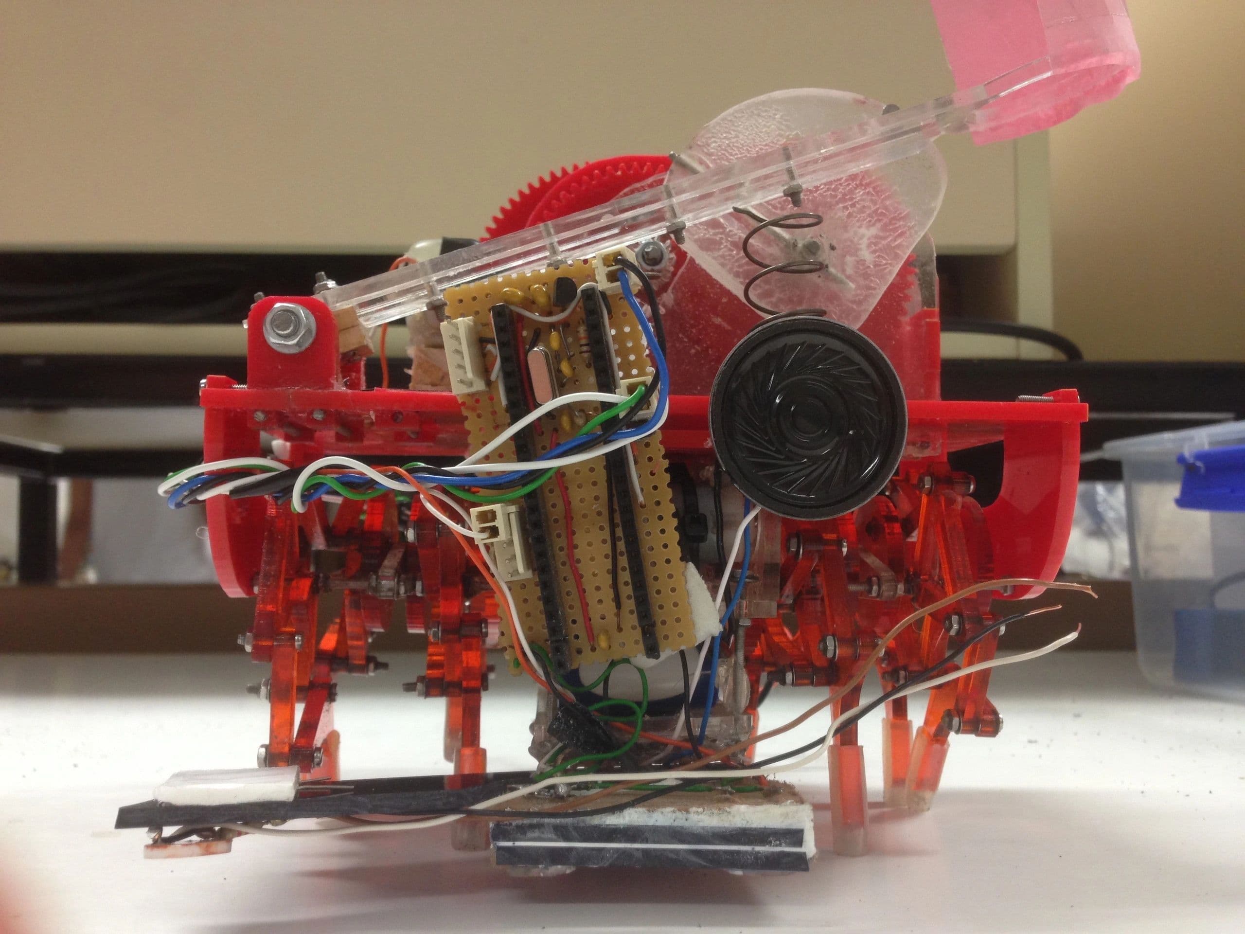 Electronics and wiring inside the robot