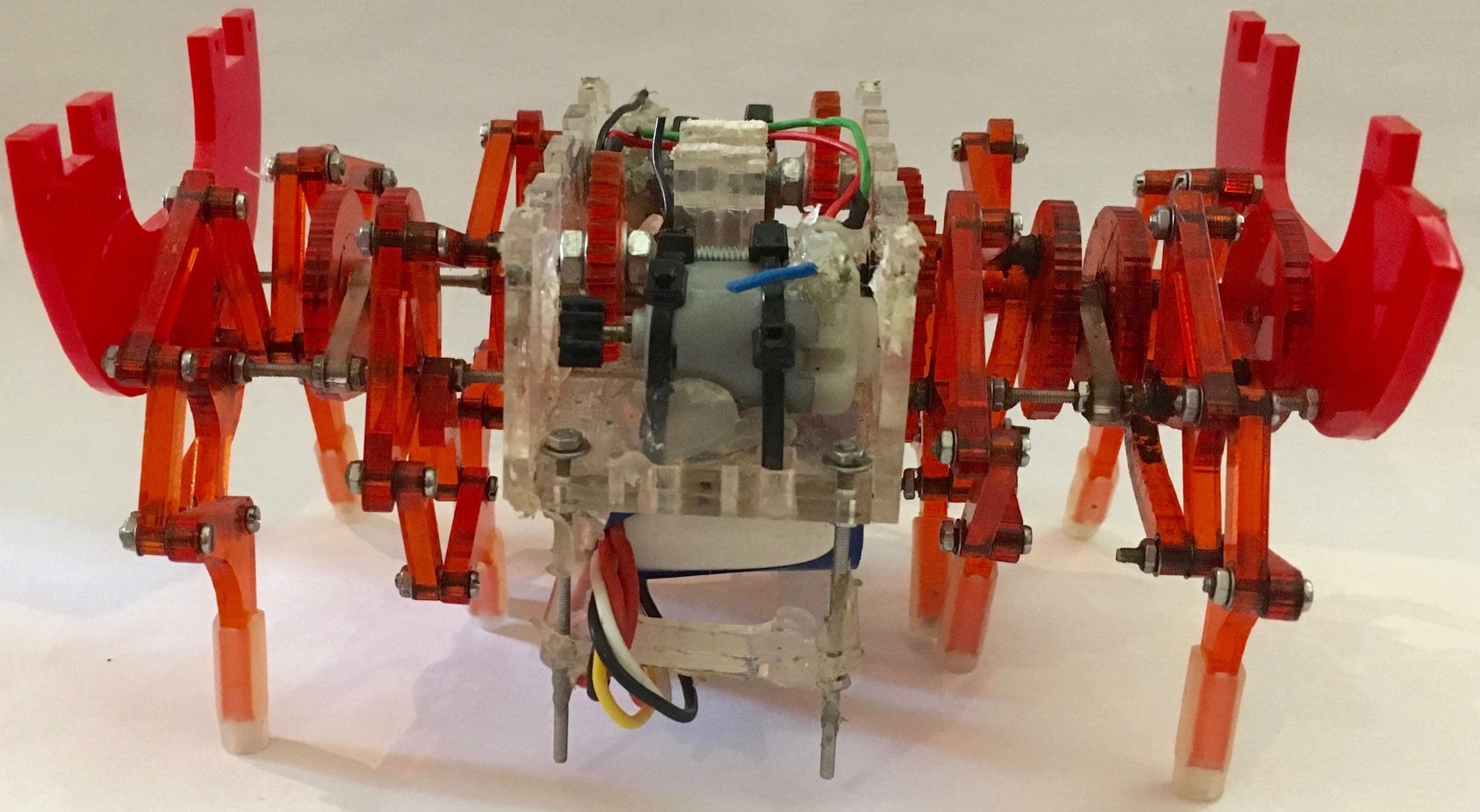 Assembled hexapod robot front view